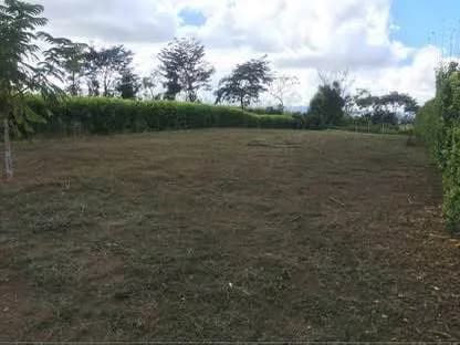 Lote de 730 metros cuadrados en la Ceniza, P.Z — foto 4
