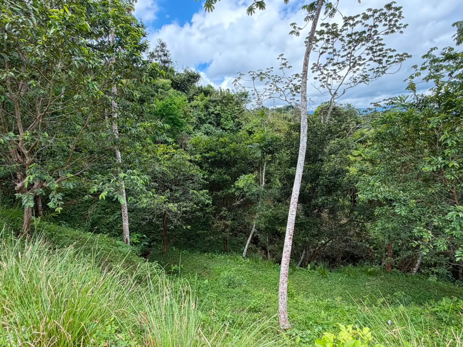 QUINTA #2 en Miravalles — foto 3