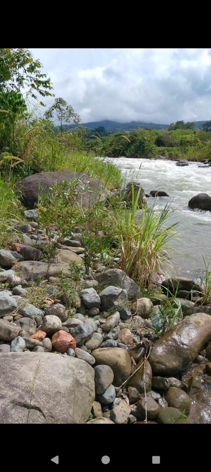 Finca de 4 hectáreas — foto 3
