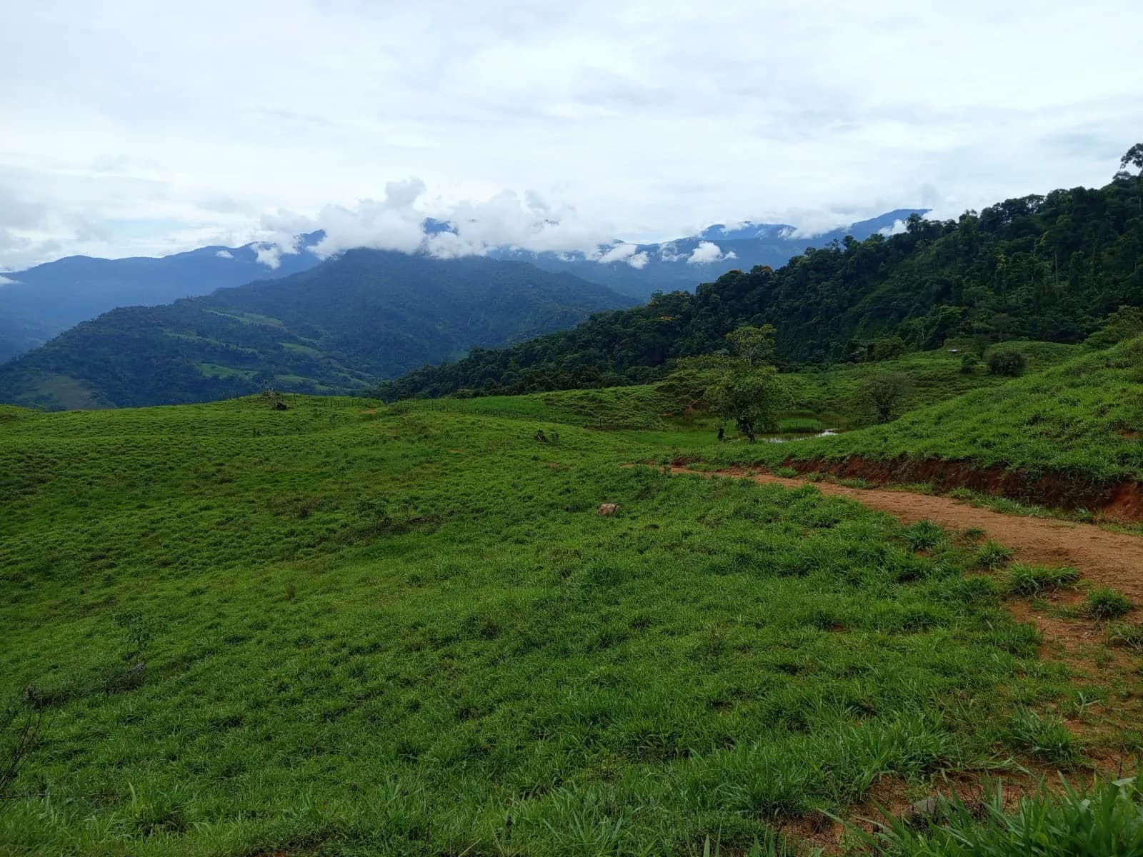 Finca Brujo de Río Nuevo Peréz Zeledón — foto 4