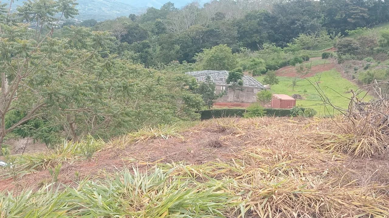 Lotes Planos alrededor del aeropuerto de Pérez Zeledón — foto 5