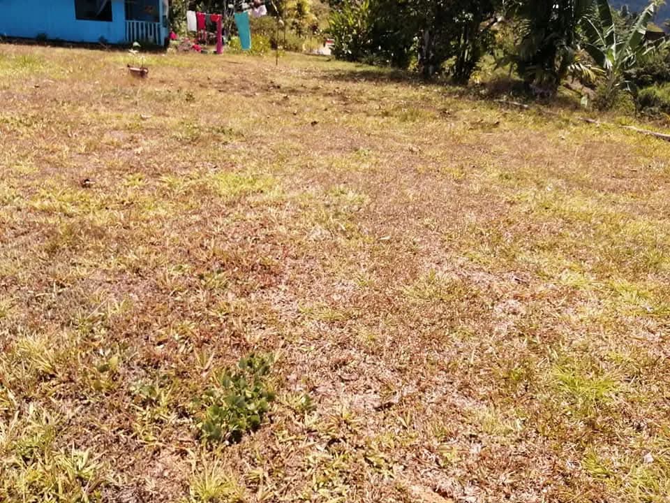 Finca con Vistas Increíbles al Mar y Montañas en La Alfombra de Barú — foto 4