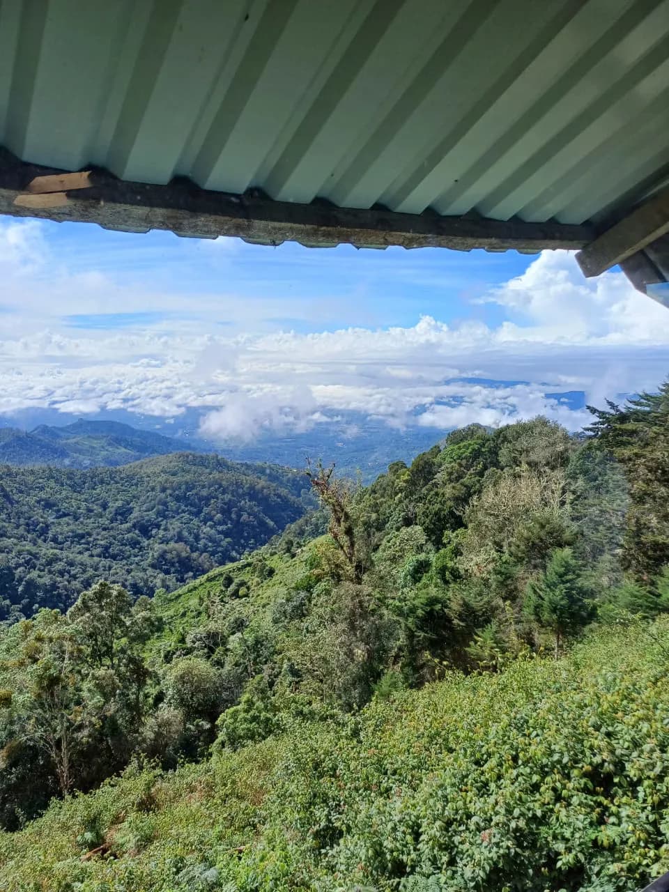 Finca ubicada en Campamento Vargas de Páramo PZ — foto 4