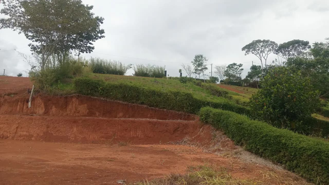 Lotes Planos alrededor del aeropuerto de Pérez Zeledón — foto 4