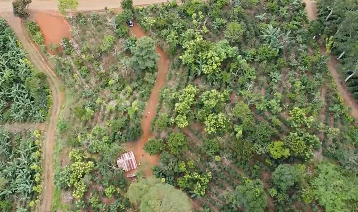 Linda Finca en Bolivia de Platanares — foto 2