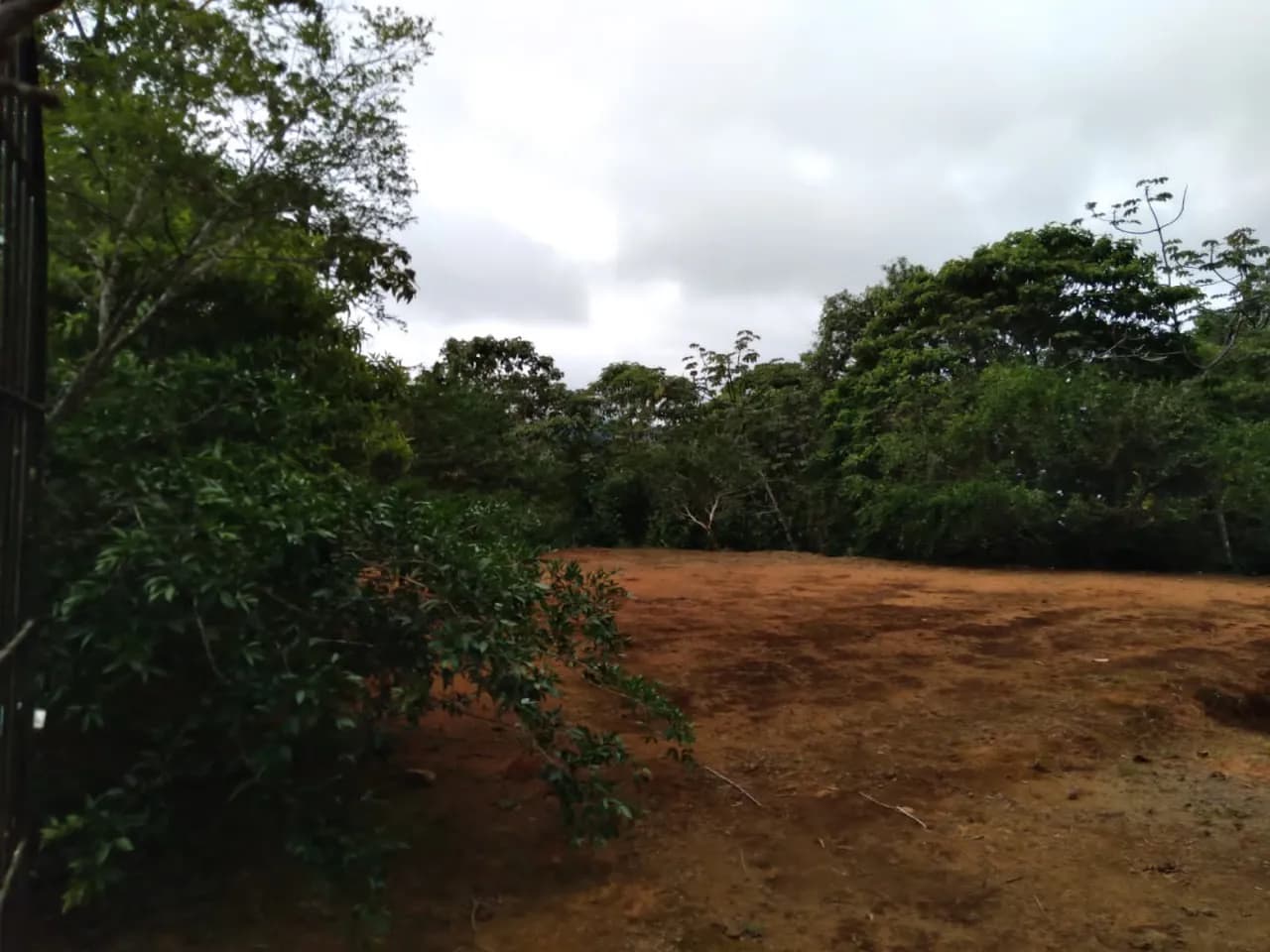Lote en el Alto de San Juán, Pérez Zeledón — foto 5
